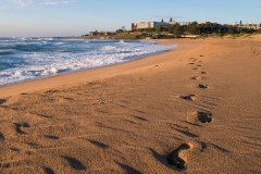 BM-BEACH1.jpg-nggid03304-ngg0dyn-240x160x100-00f0w010c011r110f110r010t010